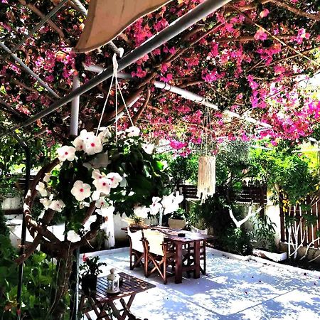 Apartments Athina Orikum Zewnętrze zdjęcie