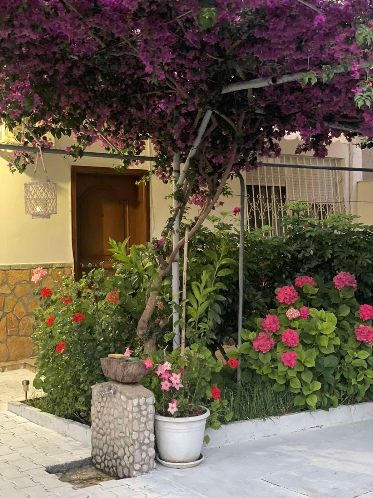 Apartments Athina Orikum Zewnętrze zdjęcie